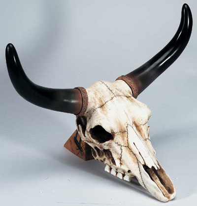 Cow Skull-Rare-Sold Out-Limited Stock