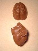 Chocolate Heart and Brain Set