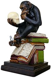 Darwin's Monkey Mistake-Rare