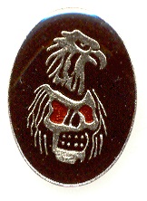 Eagle Skull Pin