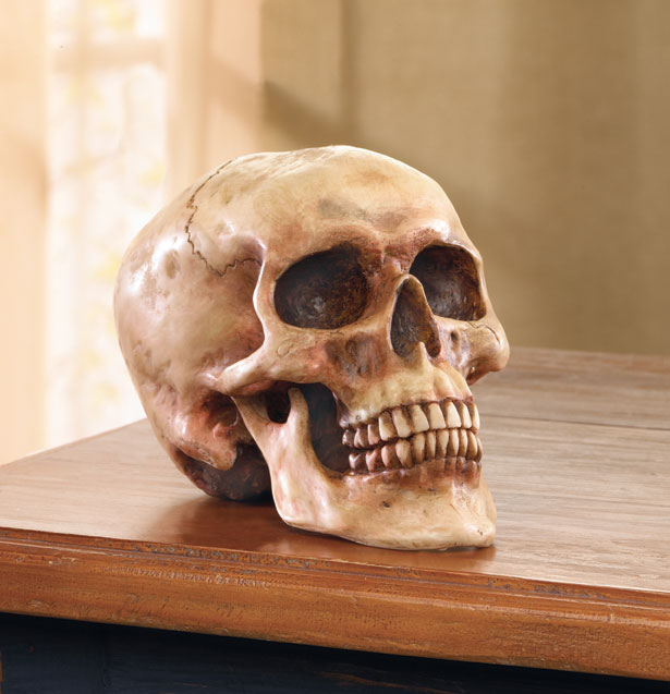 Bloody Human Replica Skull