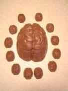 Chocolate Brain and Mini Brains