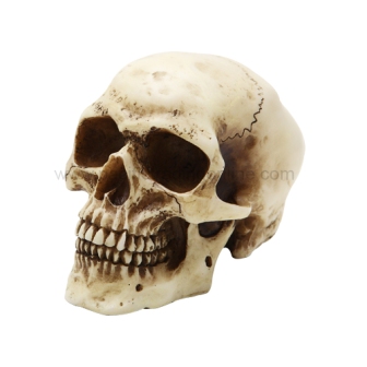 Skull Paperweight