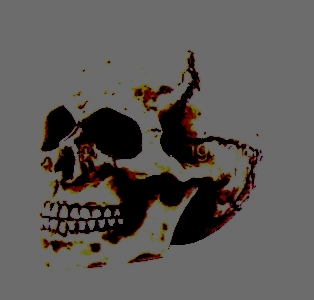 Bone Mini Skull