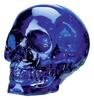 Blue Mini Skull