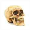 Bloody Human Replica Skull