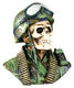 Born Killer Army Skull