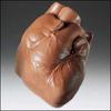 Chocolate Heart-Anatomical Chocolate 1 Pound (Avail Oct-April)