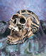 Tribal Open Skull Ashtray-Now Rare